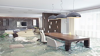 Assurance habitation | Aon